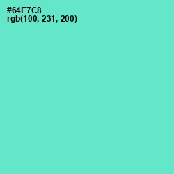 #64E7C8 - Aquamarine Color Image