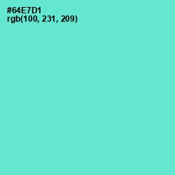 #64E7D1 - Aquamarine Color Image