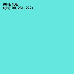 #64E7DE - Aquamarine Color Image