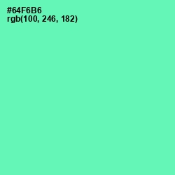 #64F6B6 - De York Color Image