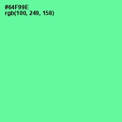 #64F99E - De York Color Image