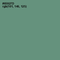 #65927D - Viridian Green Color Image