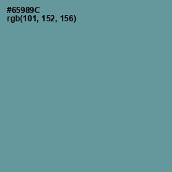 #65989C - Juniper Color Image