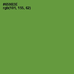 #659B3E - Olive Drab Color Image