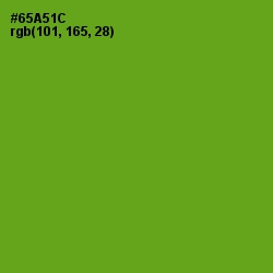 #65A51C - Christi Color Image