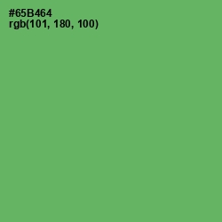 #65B464 - Fern Color Image