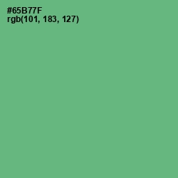 #65B77F - Fern Color Image