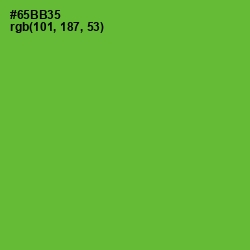 #65BB35 - Apple Color Image