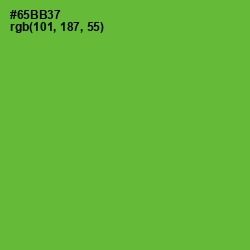 #65BB37 - Apple Color Image