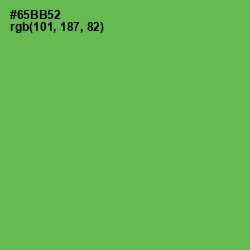 #65BB52 - Asparagus Color Image