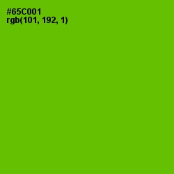 #65C001 - Bright Green Color Image