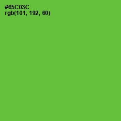 #65C03C - Bright Green Color Image