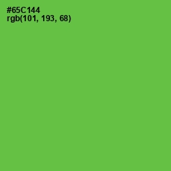 #65C144 - Mantis Color Image