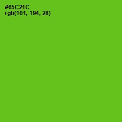 #65C21C - Bright Green Color Image