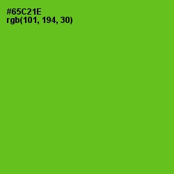 #65C21E - Bright Green Color Image