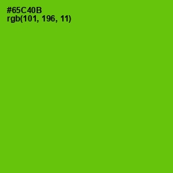 #65C40B - Bright Green Color Image