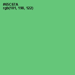 #65C67A - Mantis Color Image