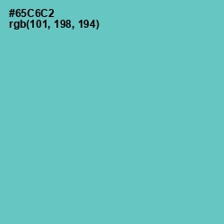 #65C6C2 - Downy Color Image