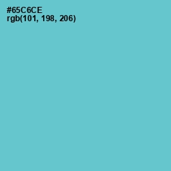 #65C6CE - Viking Color Image