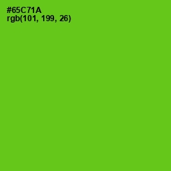 #65C71A - Bright Green Color Image