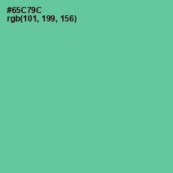 #65C79C - De York Color Image