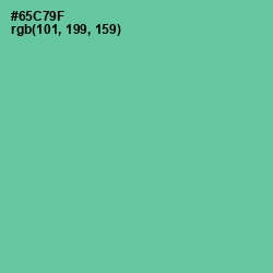 #65C79F - De York Color Image