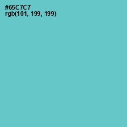 #65C7C7 - Downy Color Image