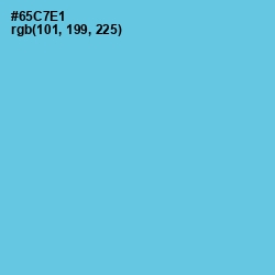 #65C7E1 - Turquoise Blue Color Image