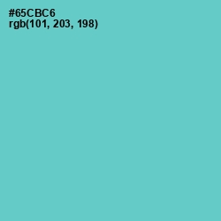 #65CBC6 - Downy Color Image