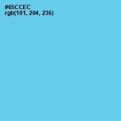 #65CCEC - Turquoise Blue Color Image