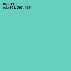 #65CFC0 - Downy Color Image