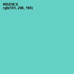 #65D0C6 - Downy Color Image
