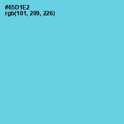#65D1E2 - Turquoise Blue Color Image