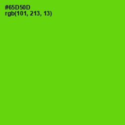 #65D50D - Bright Green Color Image