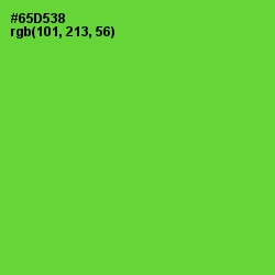 #65D538 - Bright Green Color Image