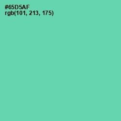 #65D5AF - De York Color Image