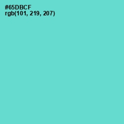 #65DBCF - Downy Color Image