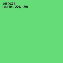 #65DC78 - Pastel Green Color Image