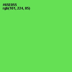 #65E055 - Screamin' Green Color Image