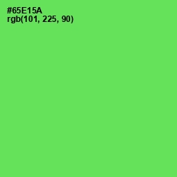 #65E15A - Screamin' Green Color Image