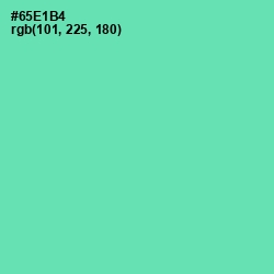 #65E1B4 - De York Color Image