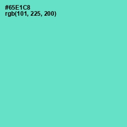 #65E1C8 - Aquamarine Color Image