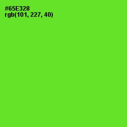 #65E328 - Bright Green Color Image