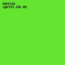 #65E430 - Bright Green Color Image