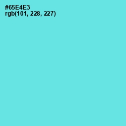 #65E4E3 - Turquoise Blue Color Image