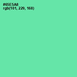 #65E5A8 - De York Color Image