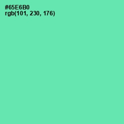 #65E6B0 - De York Color Image