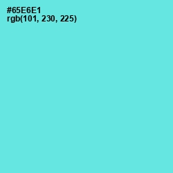 #65E6E1 - Turquoise Blue Color Image