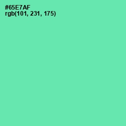 #65E7AF - De York Color Image