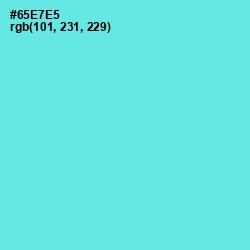 #65E7E5 - Turquoise Blue Color Image